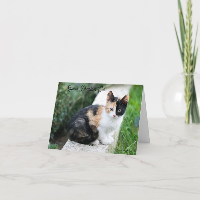 Opera Phantom Cat Note Card (Front)