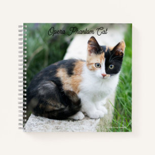Opera Phantom Cat Notebook