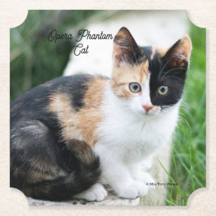 Opera Phantom Cat Paper Coaster