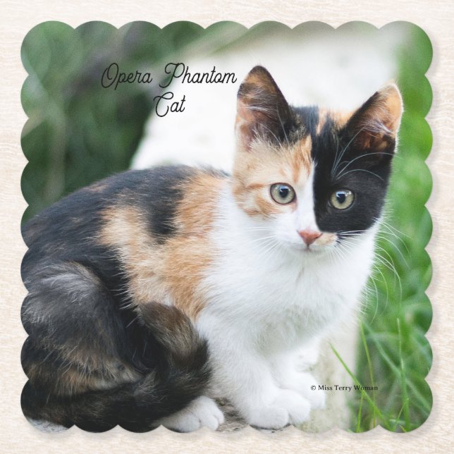 Opera Phantom Cat Paper Coaster (Front)