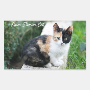 Opera Phantom Cat Rectangular Sticker
