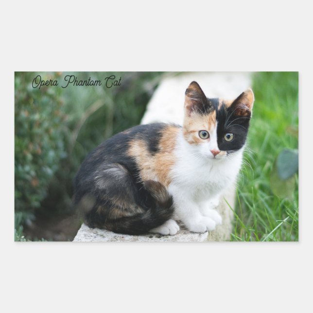 Opera Phantom Cat Rectangular Sticker (Front)
