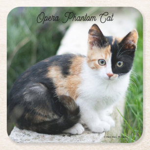 Opera Phantom Cat Square Paper Coaster