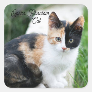Opera Phantom Cat Square Sticker