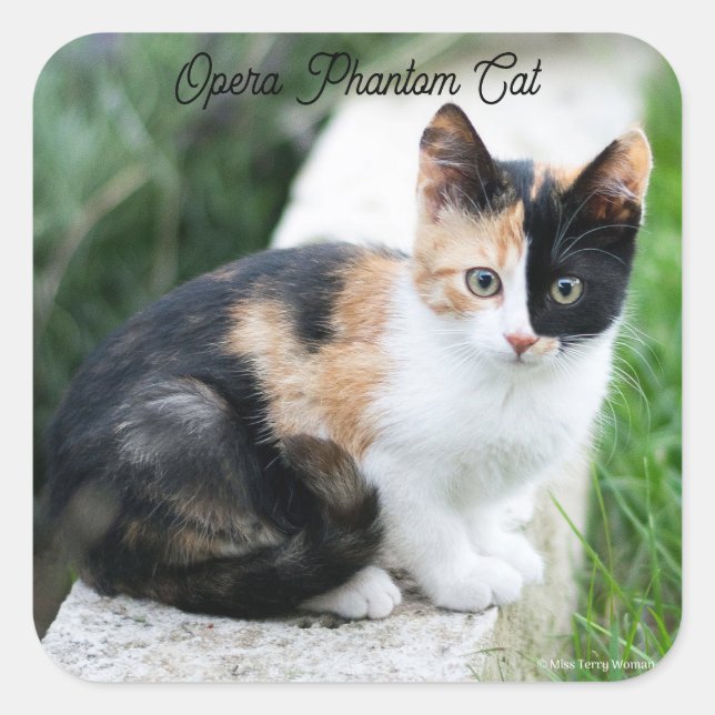 Opera Phantom Cat Square Sticker (Front)
