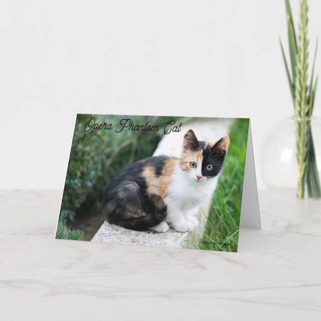 Opera Phantom Cat Thank You Card (Front)