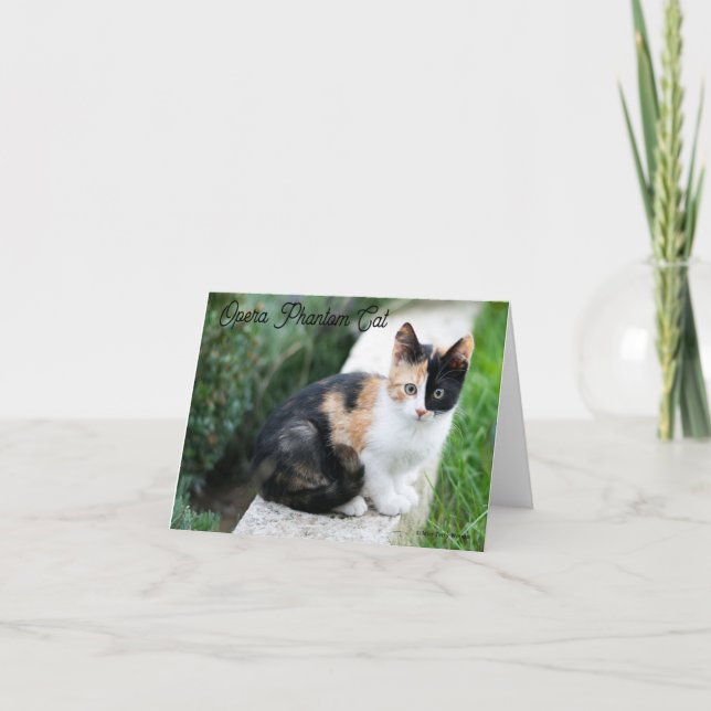 Opera Phantom Cat Thank You Card (Front)