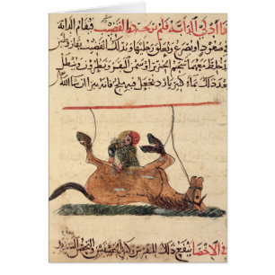 Operation on a horse, illustration
