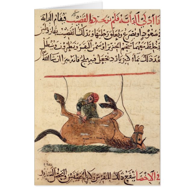 Operation on a horse, illustration (Front)