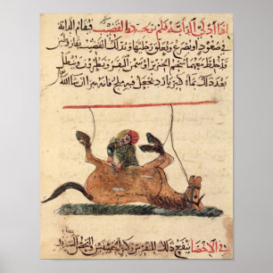 Operation on a horse, illustration poster