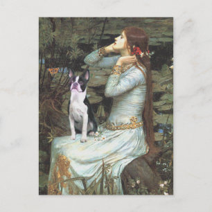 Ophelia &- Boston Terrier Postcard