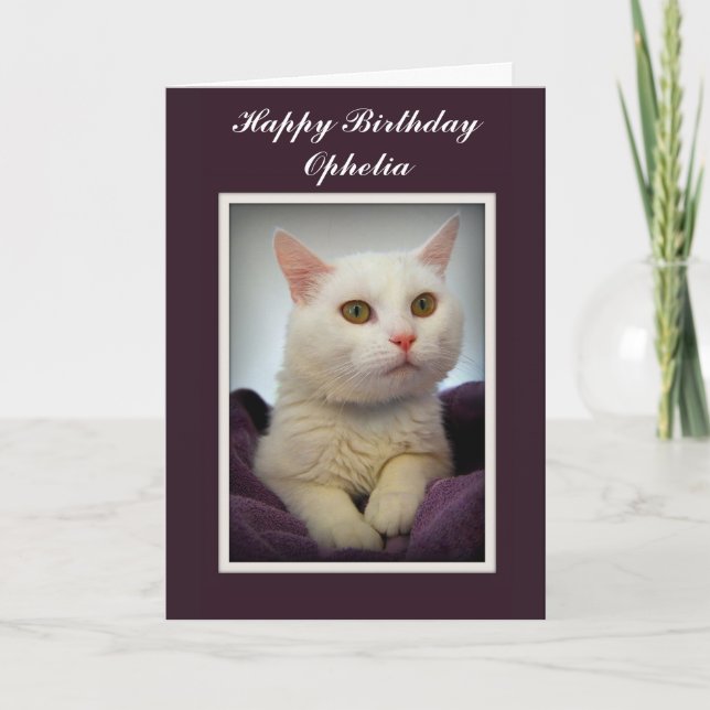 Ophelia Happy Birthday White Cat Card (Front)