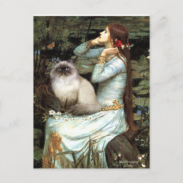 Ophelia - Himalayan cat 7 Postcard (Front)