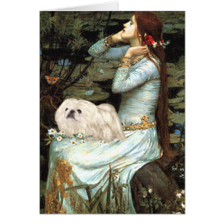 Ophelia - White Pekingese 4