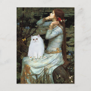 Ophelia - White Persian Kitten Postcard