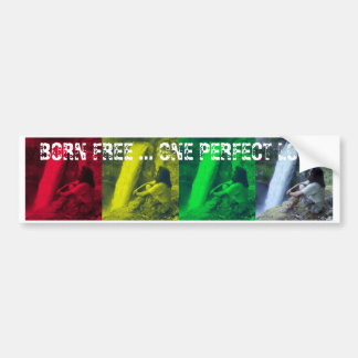 OPL Rasta Colours Bumper Sticker