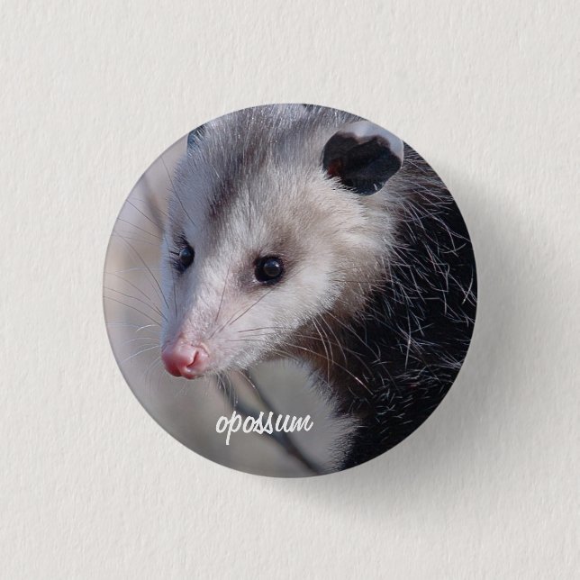 Opossum 3 Cm Round Badge (Front)