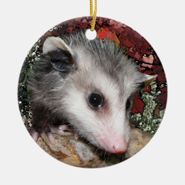 Opossum Baby Ceramic Tree Decoration (Front)