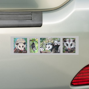 Opossum Bumper Sticker
