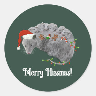 Opossum Christmas Baby Possums Wrapped in Lights Classic Round Sticker