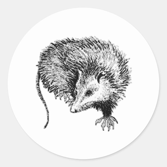 Opossum Classic Round Sticker (Front)