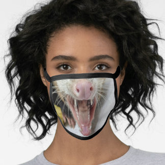 Opossum Facemask Face Mask