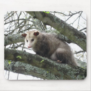 Opossum in a Tree Mouse Mat