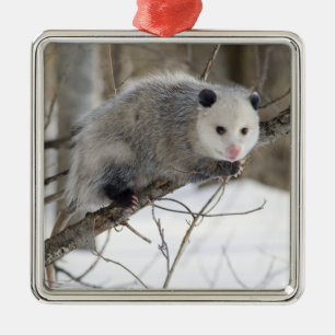 Opossum Love Metal Tree Decoration