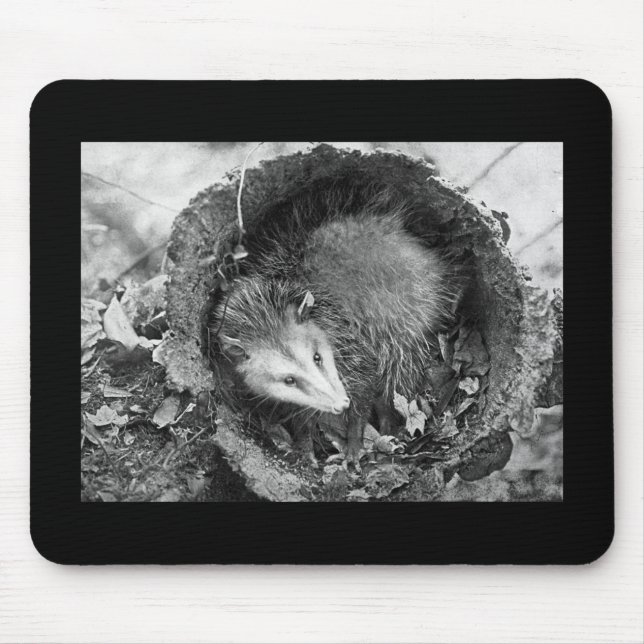 Opossum Mouse Mat (Front)