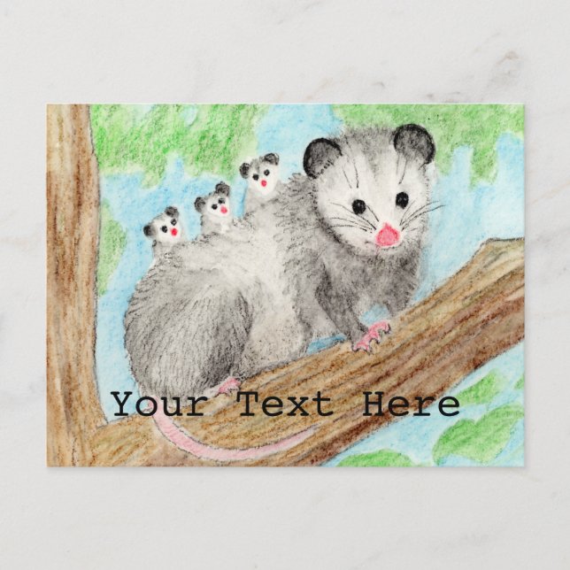 Opossum Mum Postcard (Front)