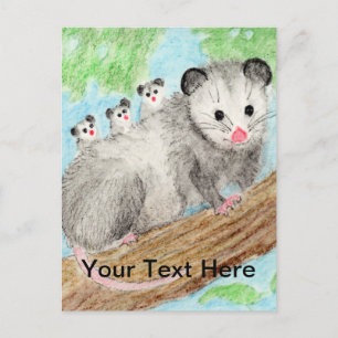 Opossum Mum Postcard