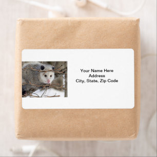 Opossum Nature Labels