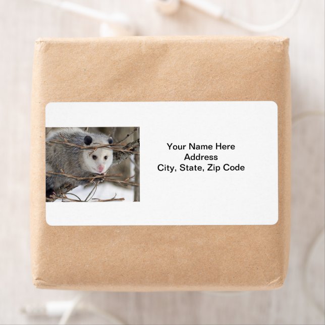Opossum Nature Labels (Insitu)