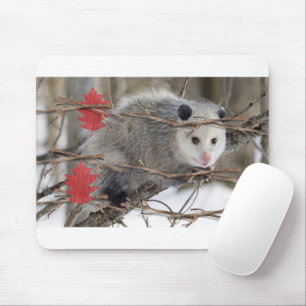 Opossum Nature White  Mouse Pad! Mat