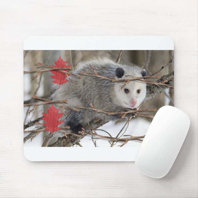 Opossum Nature White  Mouse Pad! Mat (With Mouse)