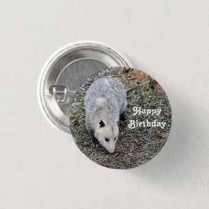 Opossum Photo Birthday 3 Cm Round Badge