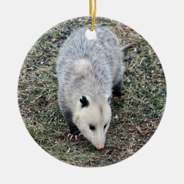 Opossum Photo Ceramic Tree Decoration (Front)