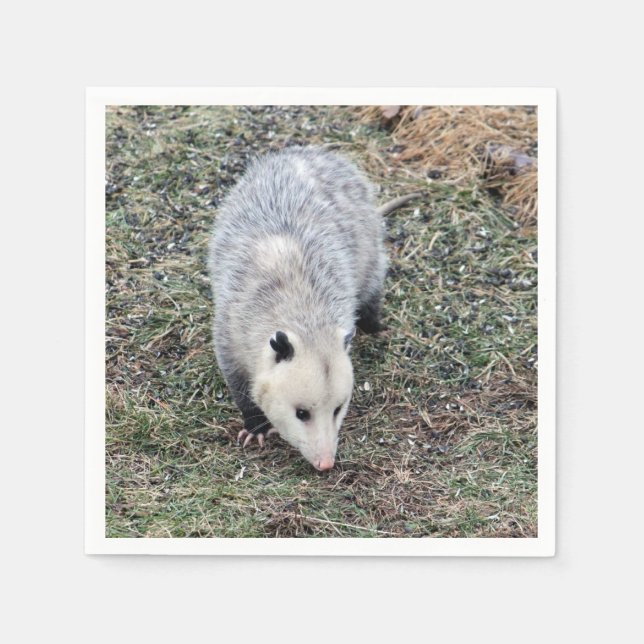 Opossum Photo Napkin (Front)