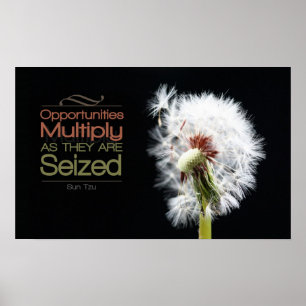 Opportunities Multiply Motivational Poster