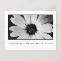 Opportunity and preparedness lead to success
