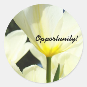 Opportunity! stickwers Boss Manage Office Tulips Classic Round Sticker