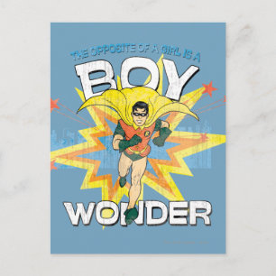 Opposite Of A Girl Postcard