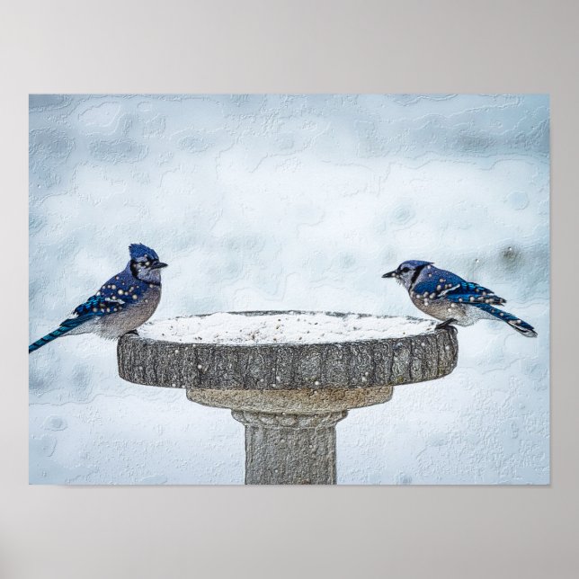 Opposite Sides Painterly Poster (Front)