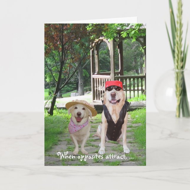 Opposites Attract Funny Dogs Holiday Card (Front)