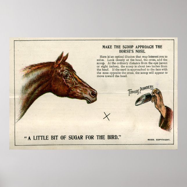 Optical illusion 1896 poster (Front)