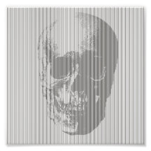 Optical illusion skull