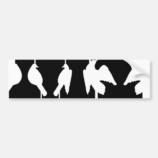 Optical illusion with urns and birds taking flight bumper sticker (Front)