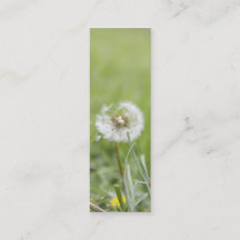 Optimism Skinny Business Card