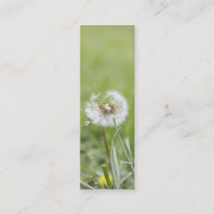 Optimism Skinny Business Card