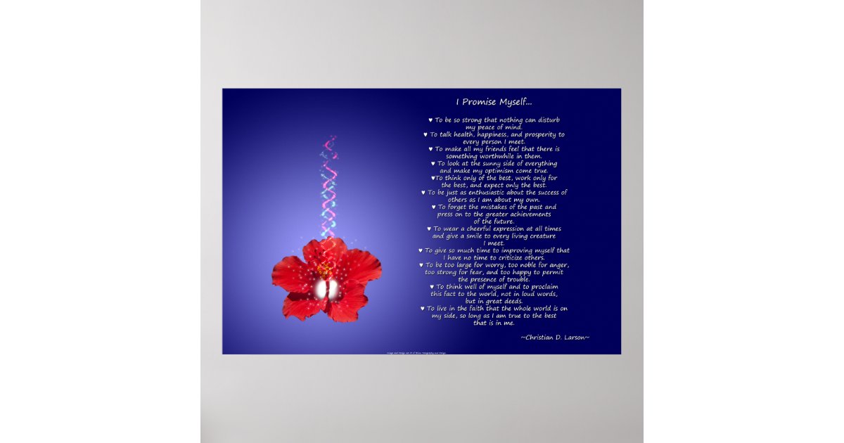 Optimist's Creed: Inspirational Hibiscus Poster 